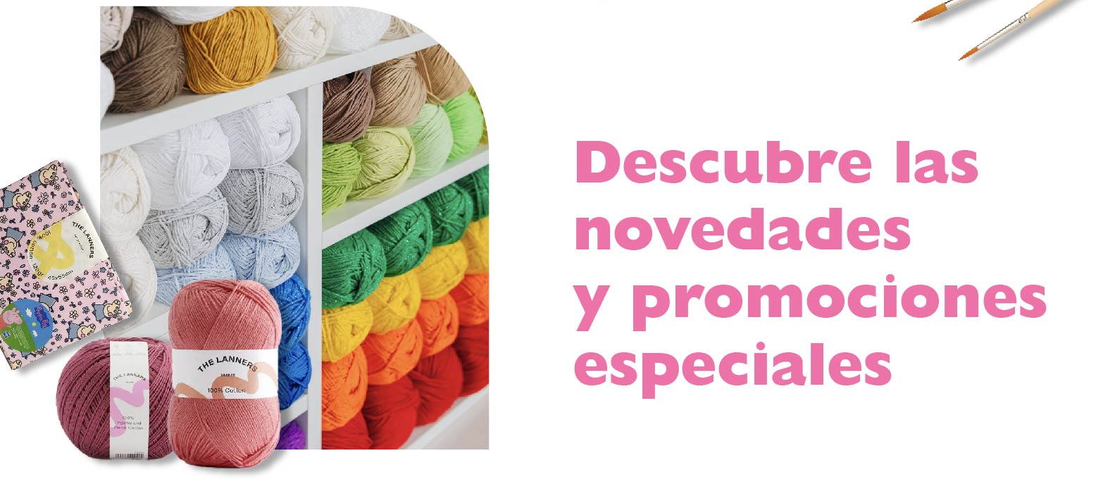 Descubre las novedades y promociones especiales